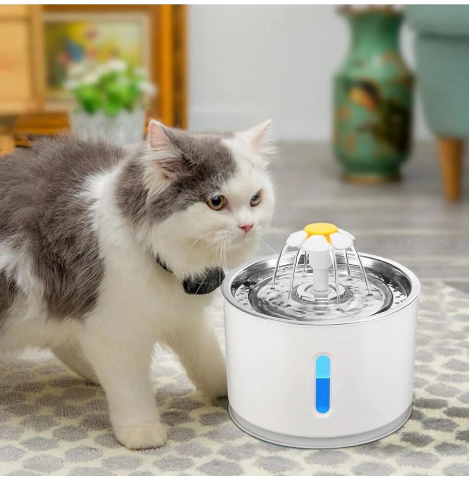 Pet Water Fountain Drink